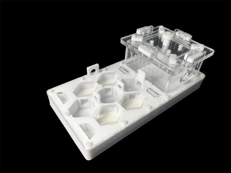ANTMART Honeycomb White Ant Farm, Variant A, 220×110 mm