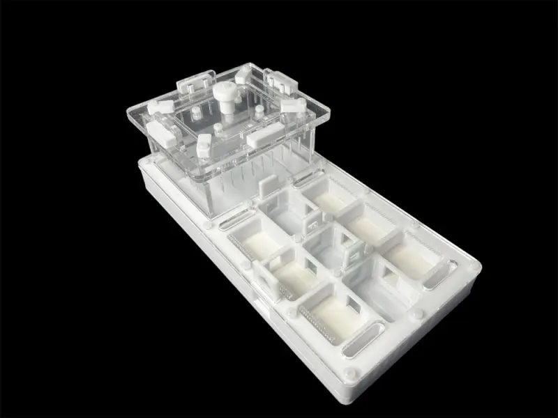 ANTMART Apex White A Ant Farm, 220×110 mm