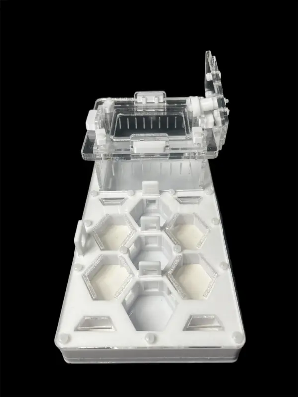 ANTMART Honeycomb White Ant Farm, Variant A, 220×110 mm