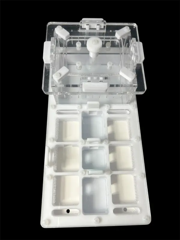 ANTMART Apex White A Ant Farm, 220×110 mm