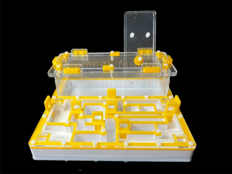 ANTMART Лабиринт Yellow А ant farm, 200х200 mm
