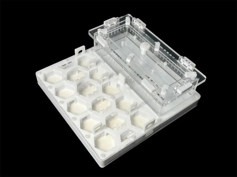 ANTMART Honeycomb White Ant Farm, Variant B, 200×200 mm