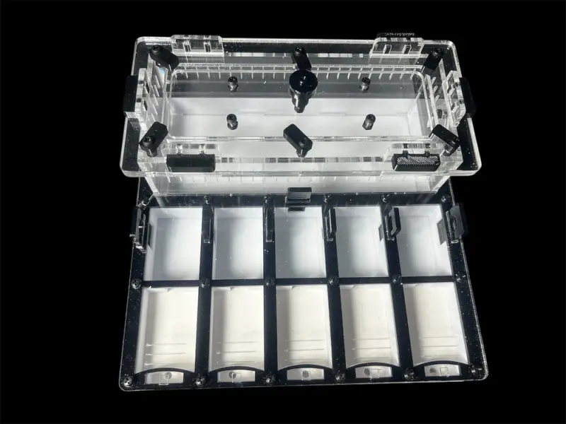 ANTMART Grid Black 200×200 mm ant farm, variant A