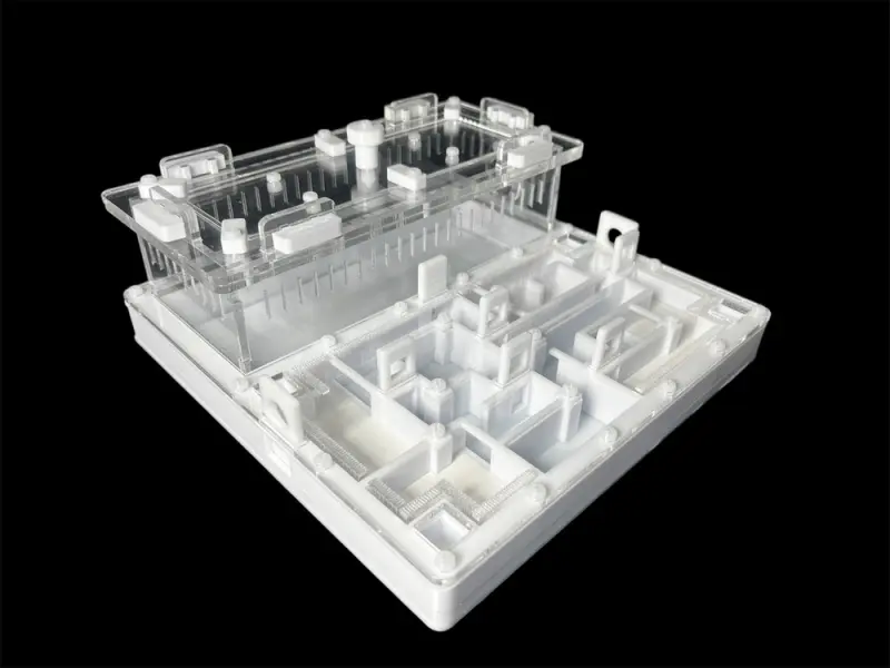 ANTMART Labyrinth White Ant Farm, Variant A, 200×200 mm