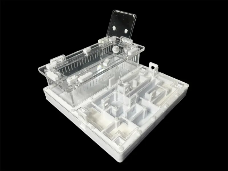 ANTMART Labyrinth White Ant Farm, Variant A, 200×200 mm