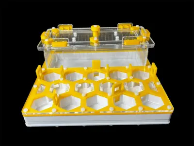 Муравьиная ферма ANTMART Соты Yellow А 200х200мм