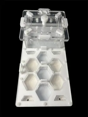 Мурашина ферма ANTMART Соти White, варіант А, 220×110 мм