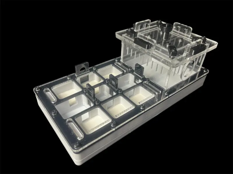 ANTMART Apex Black А ant farm, 220х110 mm