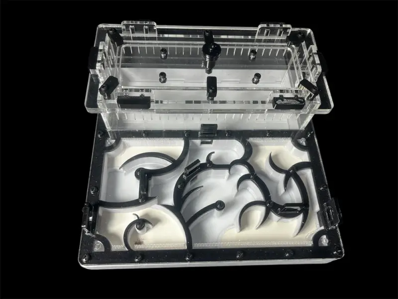 Origin Black 200×200 mm PETG formicarium with G-23 gypsum, variant A