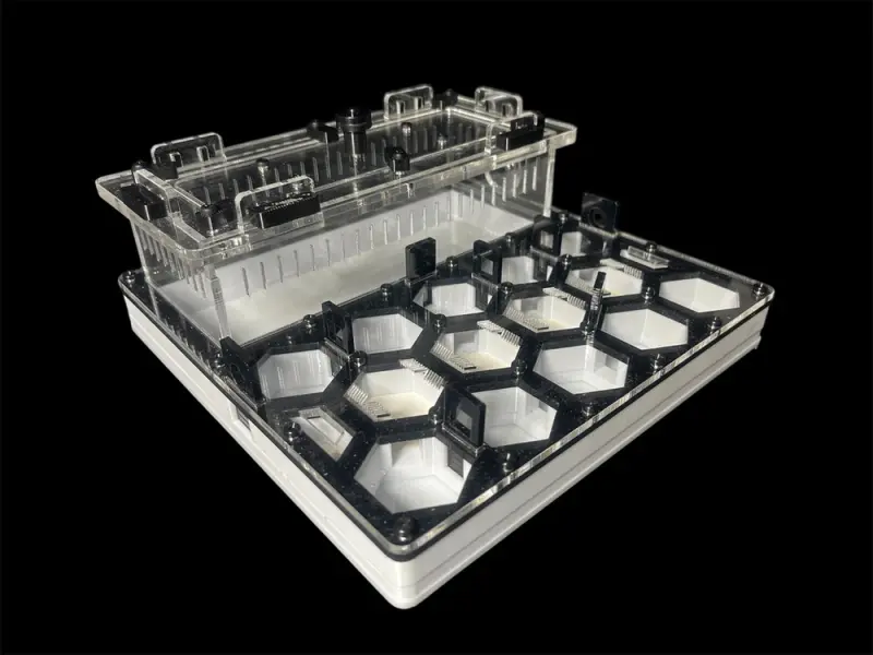 ANTMART Honeycomb Black A ant farm, 200×200 mm