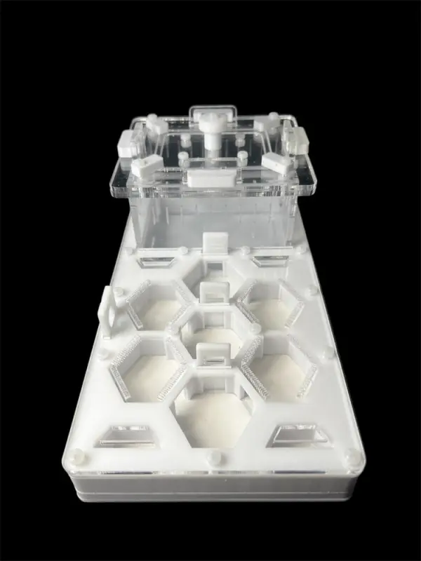 ANTMART Honeycomb White 220×110 Ant Farm, Variant B