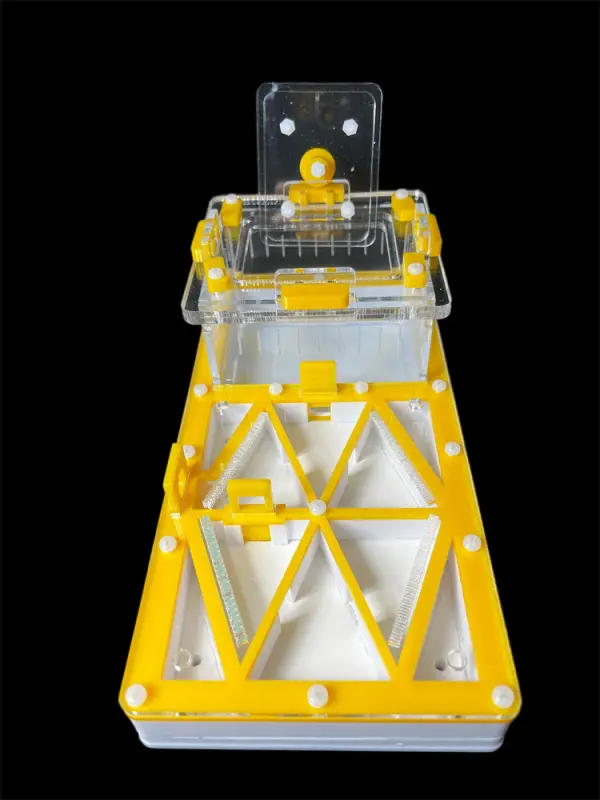 ANTMART Flow Yellow 220×110 Ant Farm, Variant B