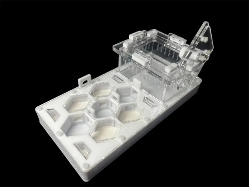 ANTMART Honeycomb White Ant Farm, Variant A, 220×110 mm