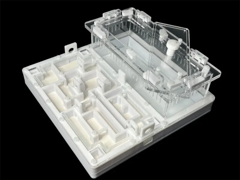 ANTMART Labyrinth White B Ant Farm, 200×200 mm