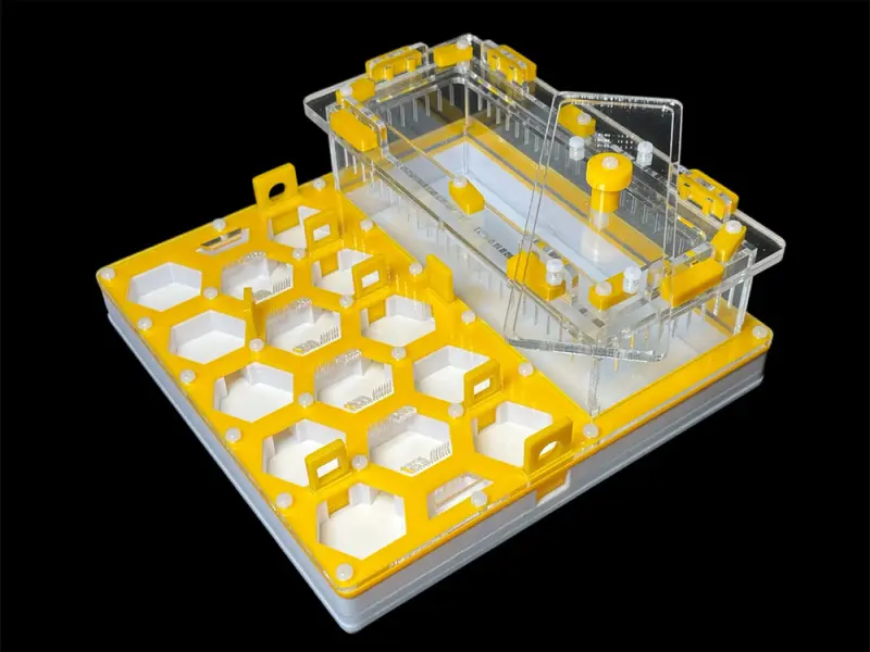 ANTMART Soty Yellow B ant farm, 200×200 mm