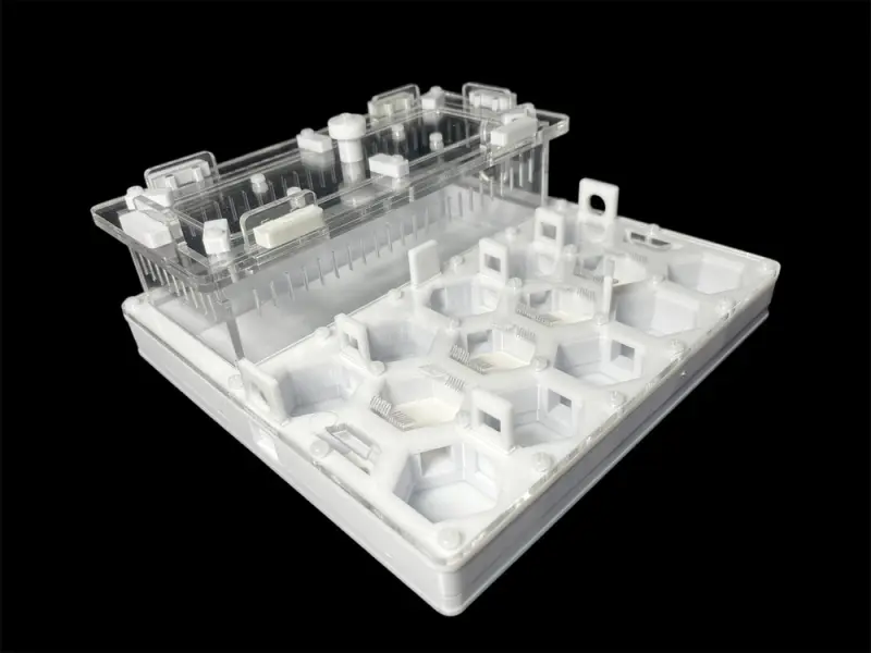 ANTMART Soty White A ant farm, 200×200 mm
