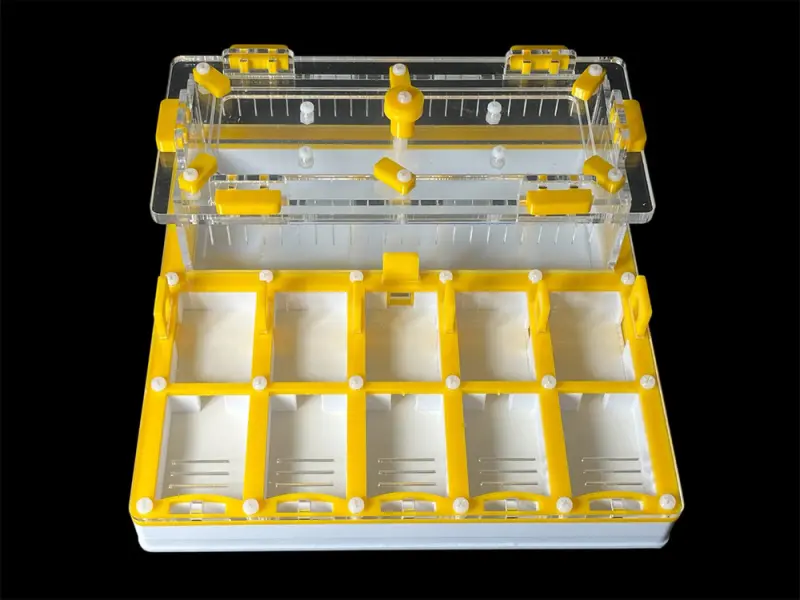 ANTMART Grid Yellow Full-Gypsum Ant Farm, Variant B, 200×200 mm