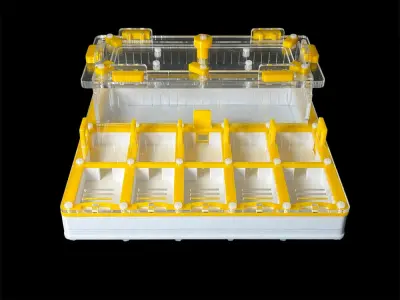 Гіпсова мурашина ферма ANTMART Grid Yellow, варіант Б, 200×200 мм
