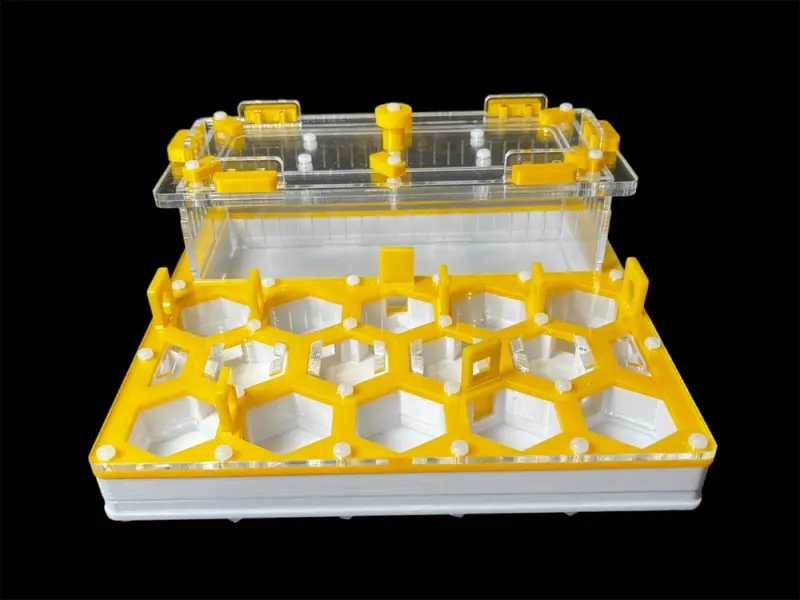 Муравьиная ферма ANTMART Соты Yellow А 200х200мм