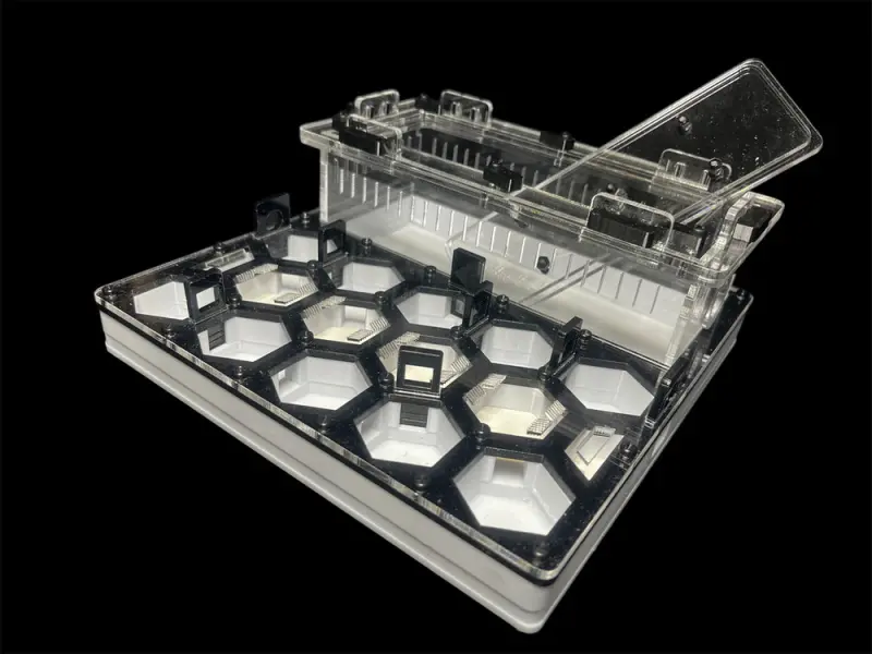 ANTMART Honeycomb Black A ant farm, 200×200 mm
