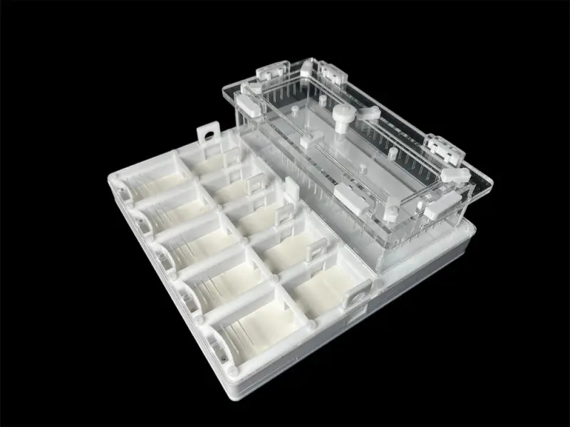 ANTMART Grid White 200×200 ant farm, Variant B, PETG and G-23 gypsum