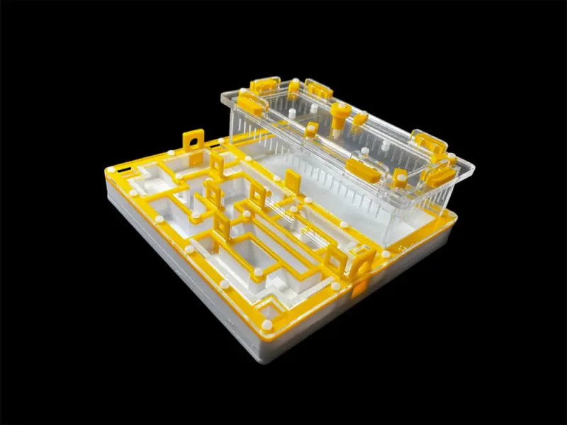 ANTMART Лабиринт Yellow А ant farm, 200х200 mm
