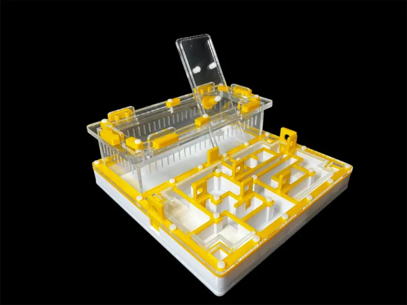 ANTMART Лабиринт Yellow А ant farm, 200х200 mm