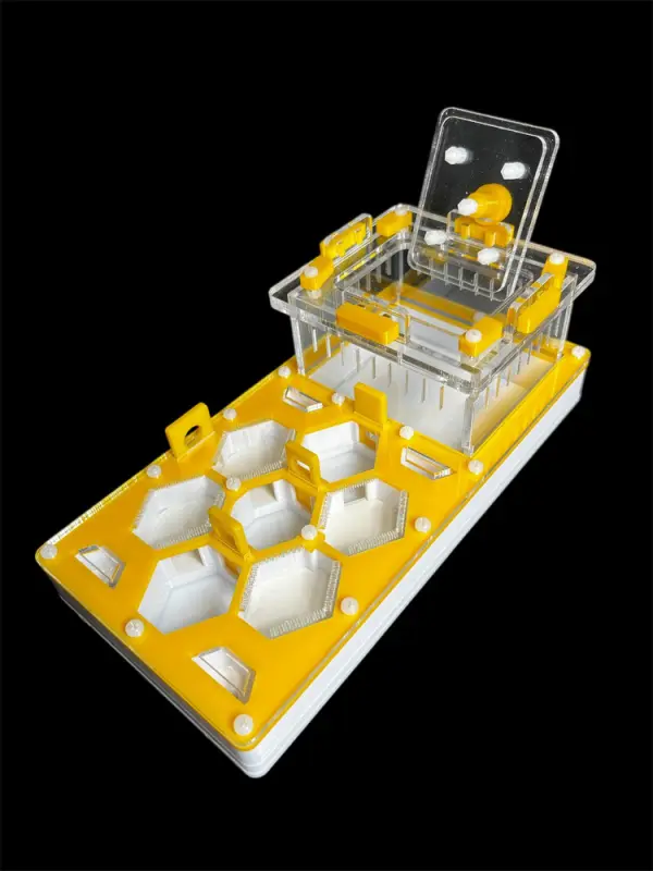 ANTMART Honeycomb Yellow 220x110 Ant Farm, Variant A