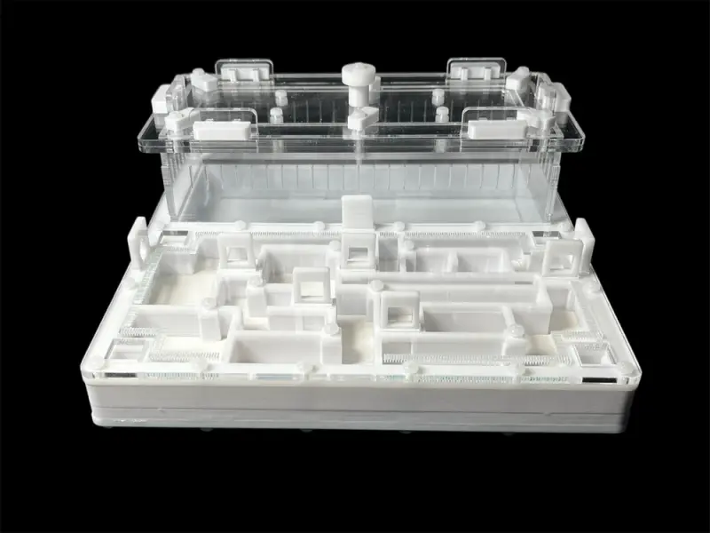 ANTMART Labyrinth White B Ant Farm, 200×200 mm