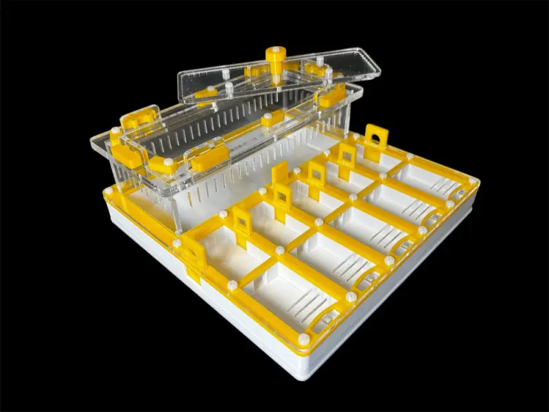 ANTMART Grid Yellow Full-Gypsum Ant Farm, Variant B, 200×200 mm