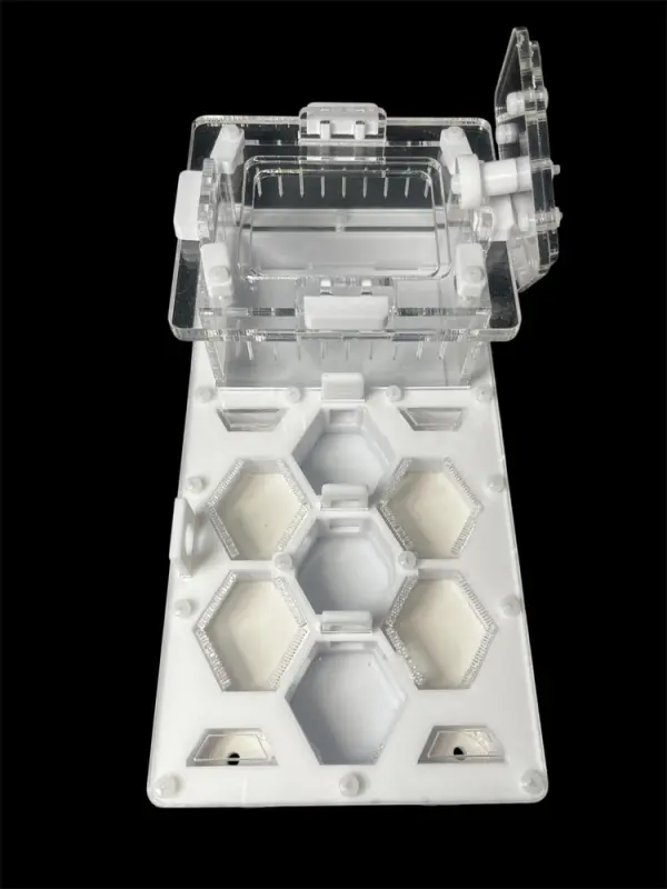 ANTMART Honeycomb White Ant Farm, Variant A, 220×110 mm