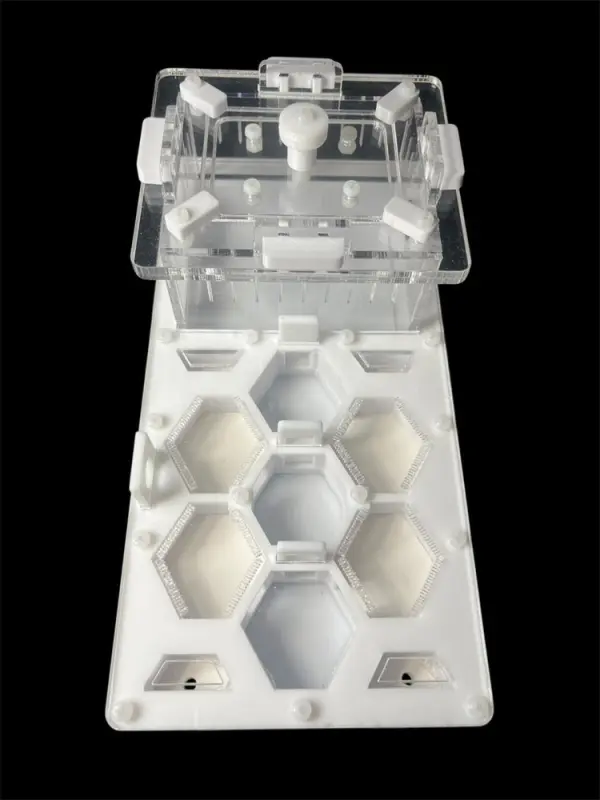 ANTMART Honeycomb White Ant Farm, Variant A, 220×110 mm