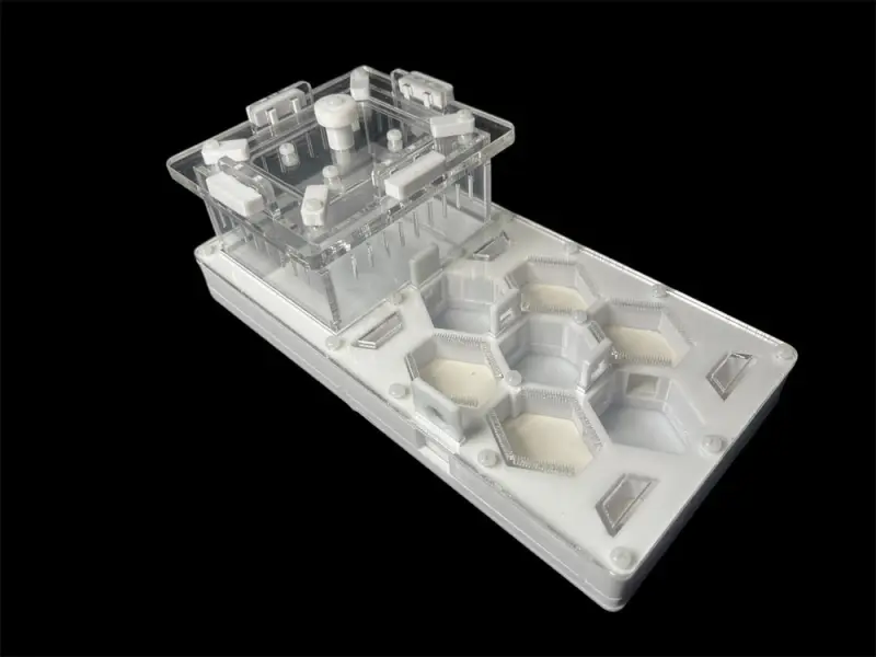 ANTMART Honeycomb White Ant Farm, Variant A, 220×110 mm