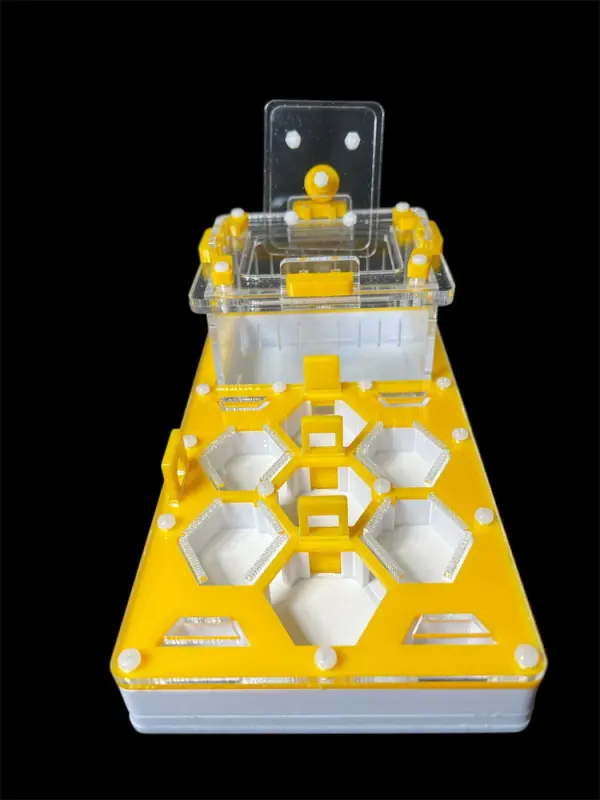 ANTMART Honeycomb Yellow Ant Farm, Variant B, 220×110 mm, G23 Gypsum