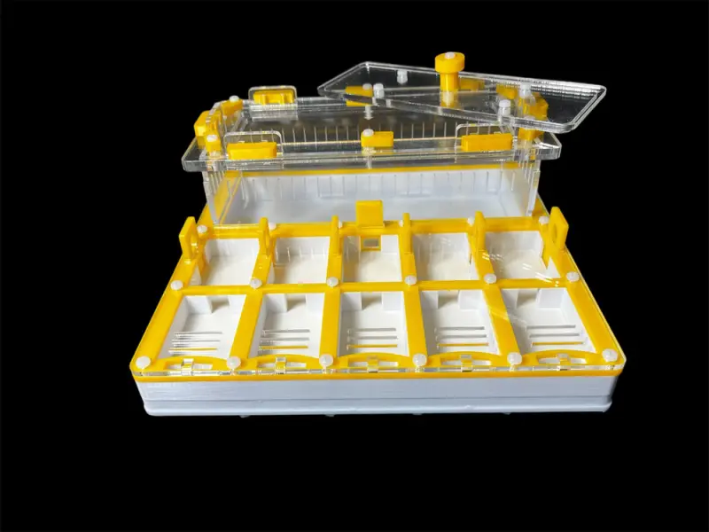 ANTMART Grid Yellow Full-Gypsum Ant Farm, Variant B, 200×200 mm
