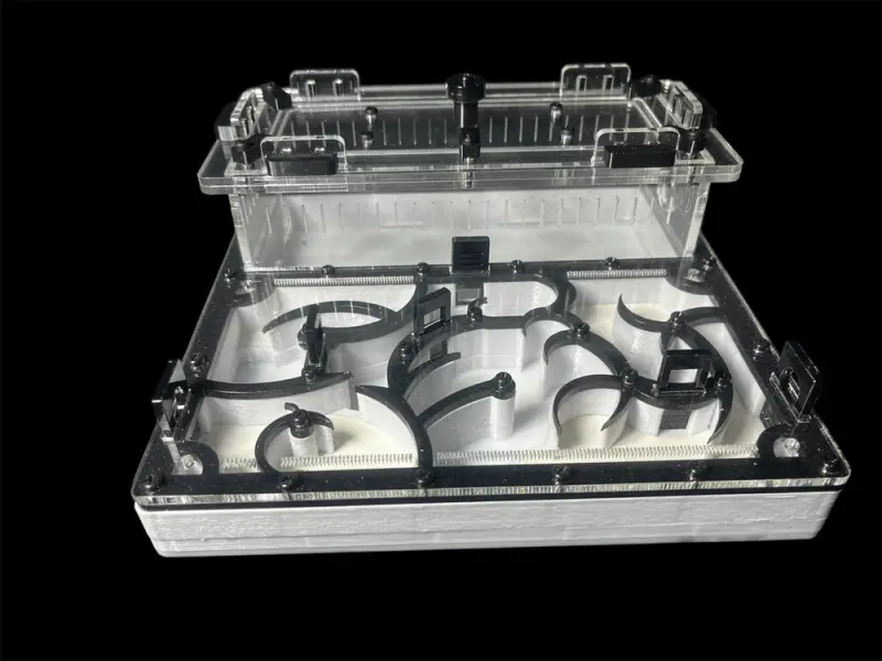 Origin Black 200×200 mm PETG formicarium with G-23 gypsum, variant A
