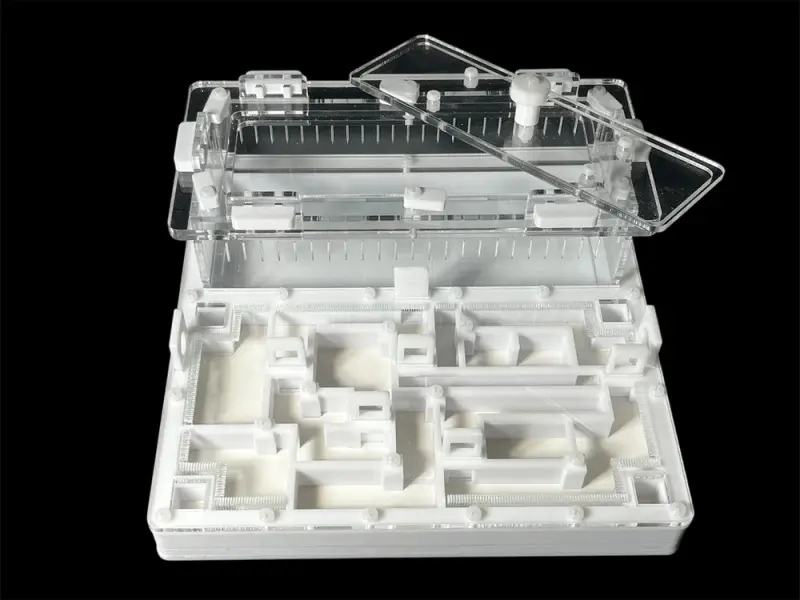 ANTMART Labyrinth White B Ant Farm, 200×200 mm