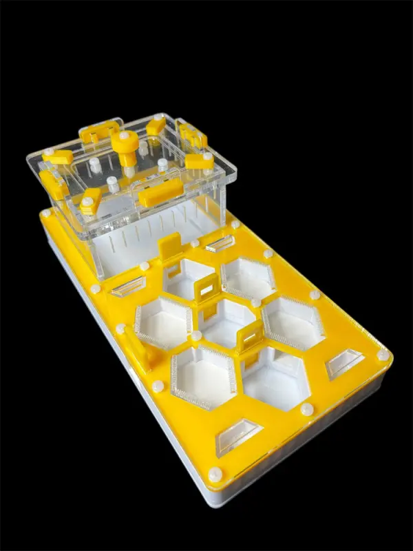 ANTMART Honeycomb Yellow 220x110 Ant Farm, Variant A
