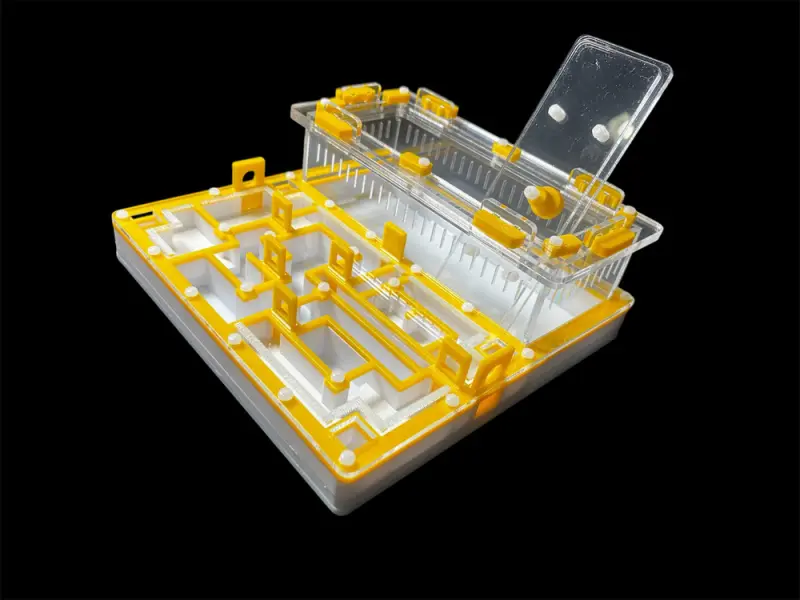 ANTMART Лабиринт Yellow А ant farm, 200х200 mm
