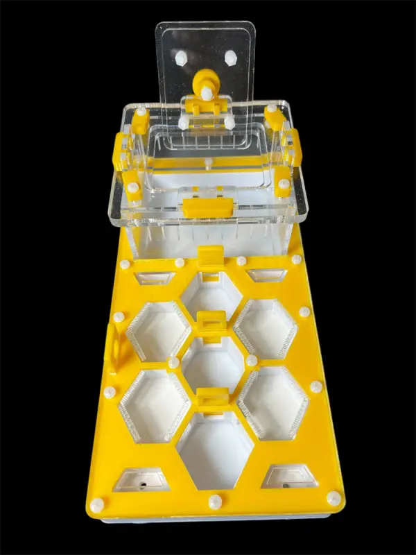 ANTMART Honeycomb Yellow 220x110 Ant Farm, Variant A