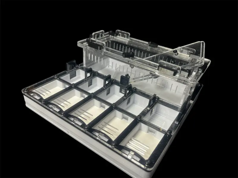 ANTMART Grid Black 200×200 mm ant farm, variant A