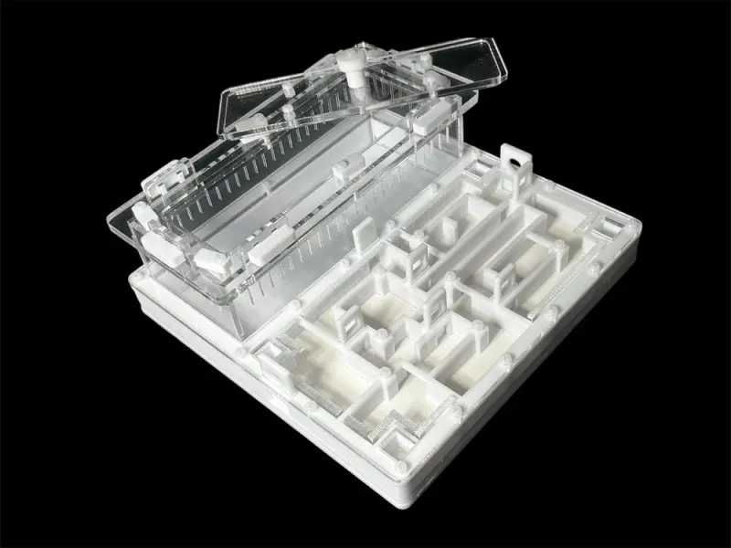 ANTMART Labyrinth White B Ant Farm, 200×200 mm