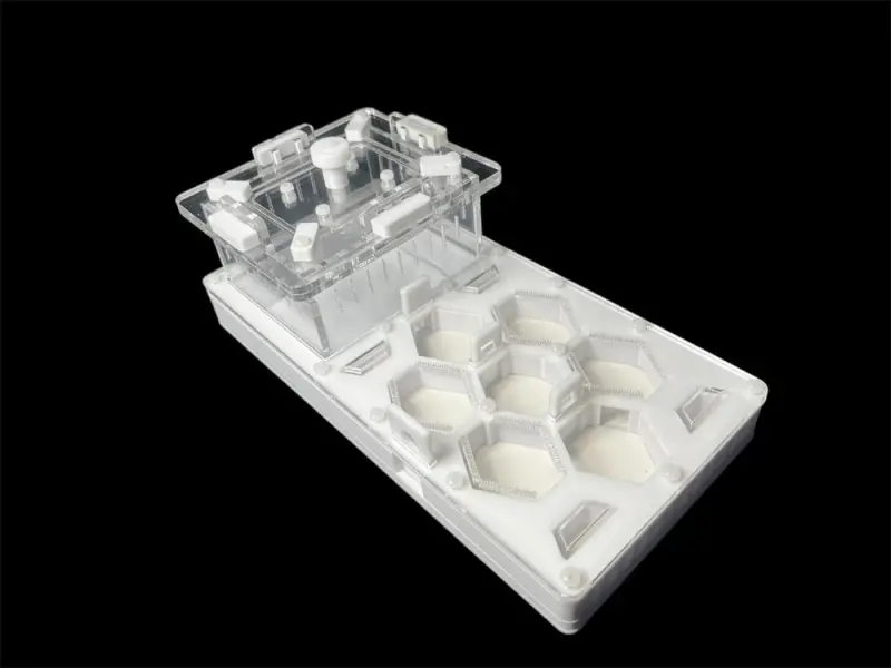 ANTMART Honeycomb White 220×110 Ant Farm, Variant B