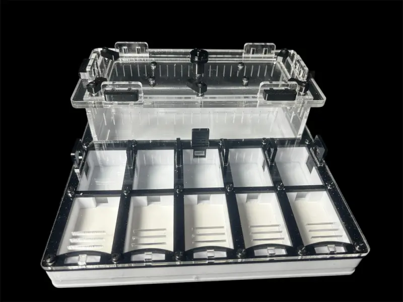 ANTMART Grid Black 200×200 mm ant farm, variant A