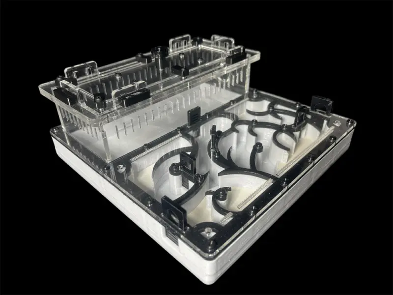 Origin Black 200×200 mm PETG formicarium with G-23 gypsum, variant A