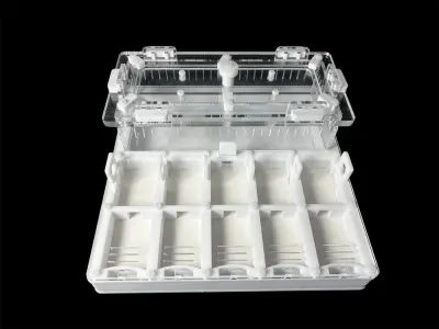 ANTMART Grid White 200×200 ant farm, Variant B, PETG and G-23 gypsum