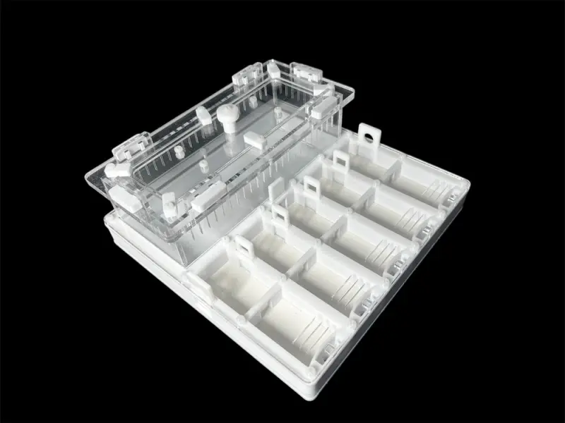 ANTMART Grid White 200×200 ant farm, Variant B, PETG and G-23 gypsum