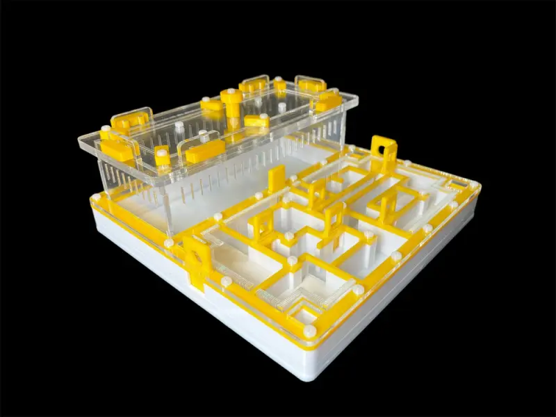 ANTMART Лабиринт Yellow А ant farm, 200х200 mm