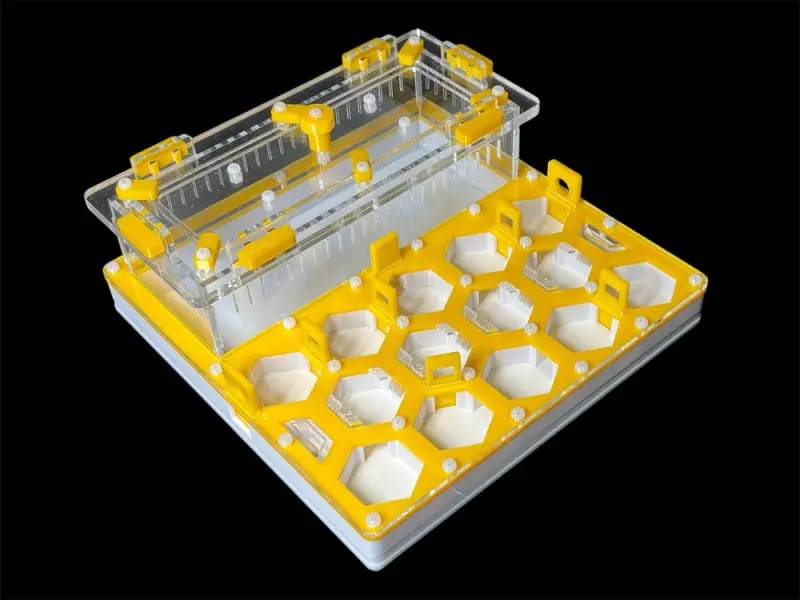 ANTMART Soty Yellow B ant farm, 200×200 mm