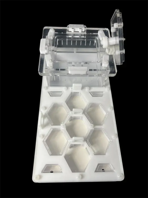 ANTMART Honeycomb White 220×110 Ant Farm, Variant B